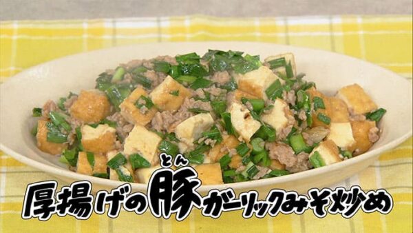 きょうの料理 豚肉メニューでパワーチャージ 厚揚げの豚ガーリックみそ炒め