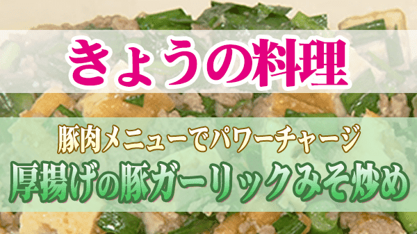 きょうの料理 豚肉メニューでパワーチャージ 厚揚げの豚ガーリックみそ炒め