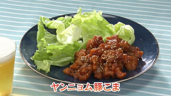 きょうの料理ビギナーズ 味も大満足！コスパおかず ヤンニョム豚こま