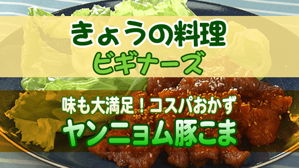 きょうの料理ビギナーズ 味も大満足！コスパおかず ヤンニョム豚こま