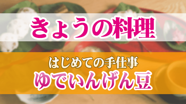 きょうの料理 はじめての手仕事 ゆでいんげん豆