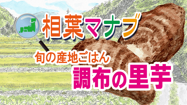 相葉マナブ 旬の産地ごはん 調布 里芋