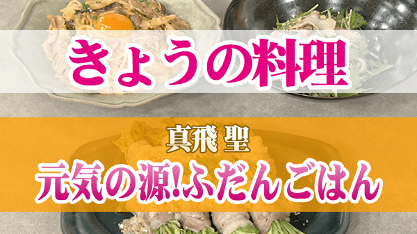 きょうの料理 真飛 聖 元気の源!ふだんごはん