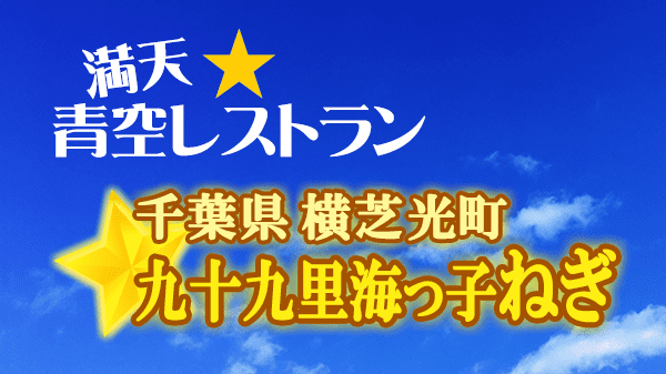 青空レストラン 千葉県 山武郡 横芝光町 九十九里海っ子ねぎ