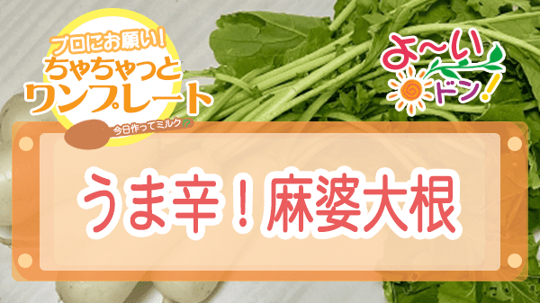 よーいドン ちゃちゃっとワンプレート 大根 うま辛！麻婆大根