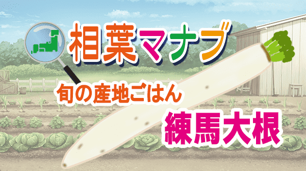 相葉マナブ 旬の産地ごはん 練馬大根