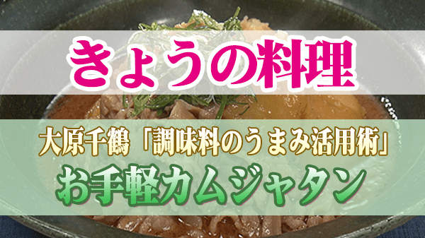 きょうの料理 大原千鶴 お手軽カムジャタン