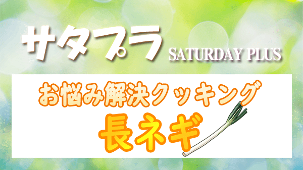 サタプラ サタデープラス お悩み解決 クッキング 長ネギ