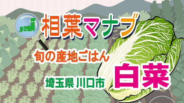 相葉マナブ 旬の産地ごはん 白菜 埼玉県 川口市