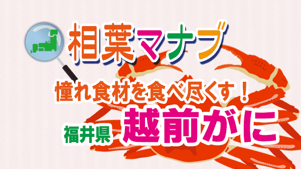 相葉マナブ 憧れ食材を食べ尽くす 福井県 越前がに ズワイガニ