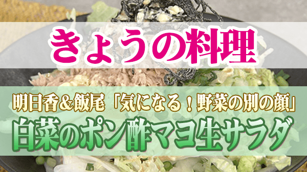 きょうの料理 明日香 ずん飯尾 白菜のポン酢マヨ生サラダ