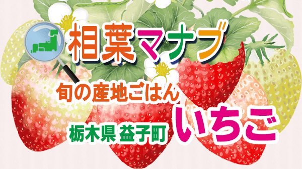相葉マナブ 旬の産地ごはん いちご 栃木県 益子町