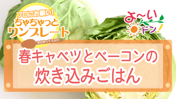 よーいドン ちゃちゃっとワンプレート 春キャベツ 春キャベツとベーコンの炊き込みごはん