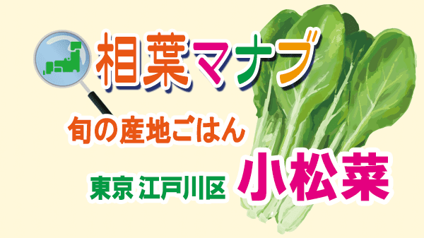 相葉マナブ 旬の産地ごはん 小松菜 東京 江戸川区