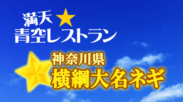 青空レストラン 神奈川 横綱大名ネギ