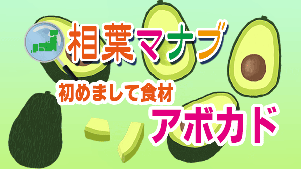 相葉マナブ 初めまして食材 アボカド