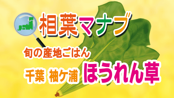 相葉マナブ 旬の産地ごはん ほうれん草 千葉県 袖ケ浦市