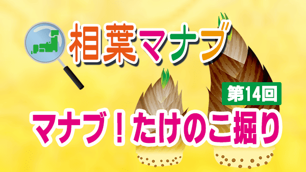 相葉マナブ たけのこ 掘り 第14回