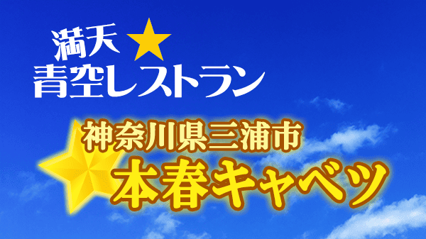 青空レストラン 本春キャベツ 神奈川 三浦市