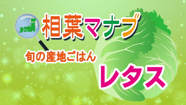 相葉マナブ 旬の産地ごはん レタス