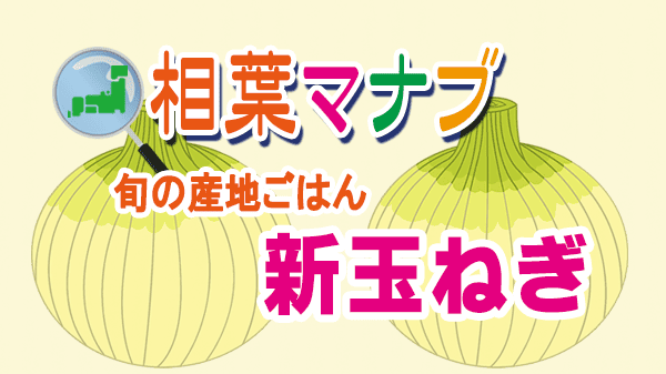相葉マナブ 旬の産地ごはん 新玉ねぎ