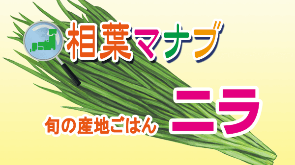 相葉マナブ 旬の産地ごはん ニラ