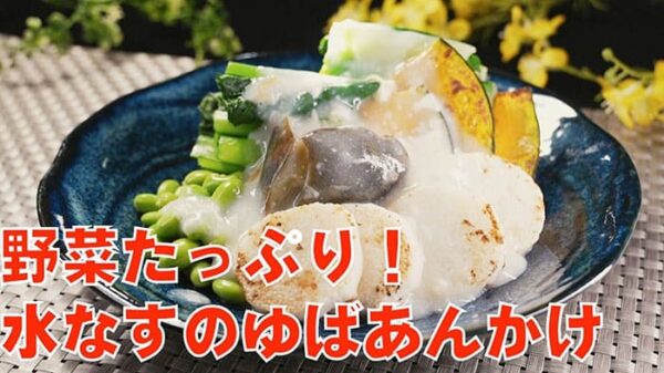 よーいドン ミルクボーイ おせっかいごはん 宮澤シェフ 水なすとゆばあんかけ 野菜たっぷり