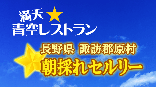 青空レストラン 朝獲れ セルリー セロリ 長野県 諏訪郡原村
