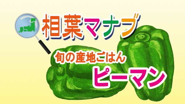 相葉マナブ 旬の産地ごはん ピーマン