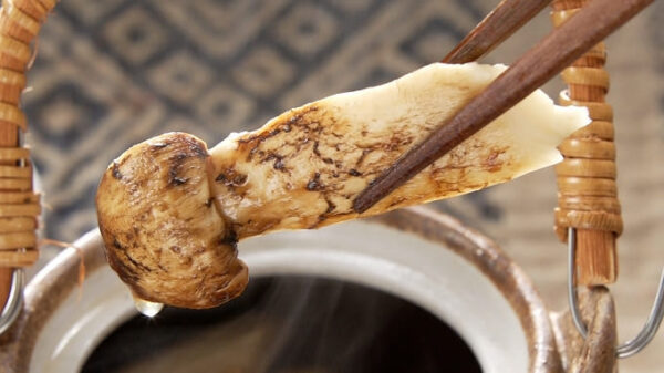 相葉マナブ 信州 松茸 レシピ 土瓶蒸し