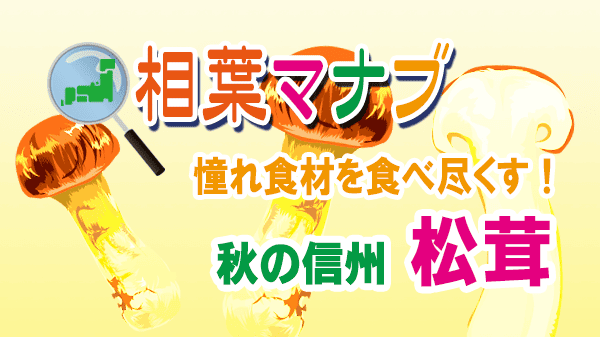 相葉マナブ 信州 松茸