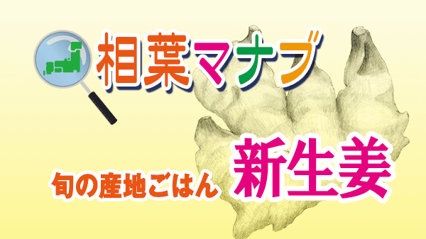 相葉マナブ 旬の産地ごはん 新生姜