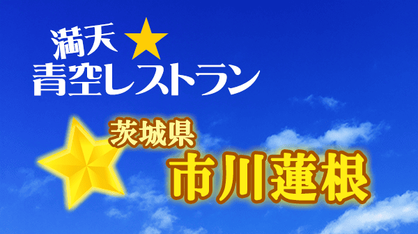 青空レストラン 茨城県 市川蓮根 レンコン
