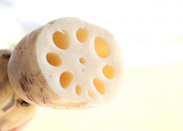 青空レストラン 茨城県 市川蓮根 レンコン