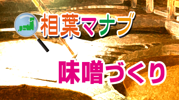 相葉マナブ 味噌づくり