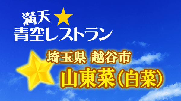 青空レストラン 白菜 山東菜 埼玉県 越谷市