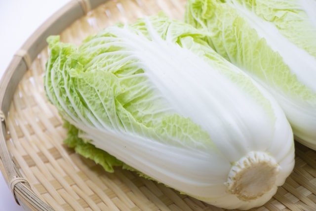 DayDay レシピ 亜希 亜希のざっくりキッチン 白菜