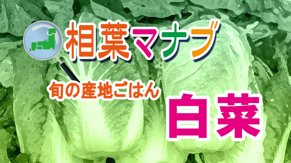 相葉マナブ 旬の産地ごはん 白菜