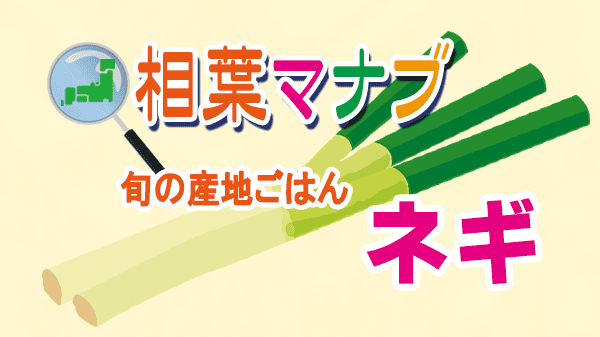 相葉マナブ 旬の産地ごはん ネギ