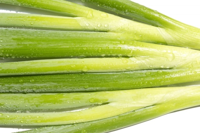 相葉マナブ 旬の産地ごはん ネギ