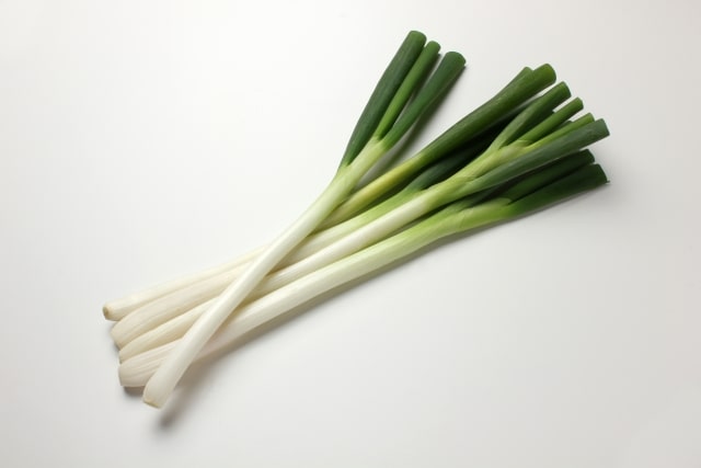 相葉マナブ 旬の産地ごはん ネギ