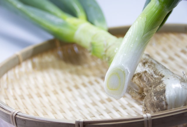 相葉マナブ 旬の産地ごはん ネギ