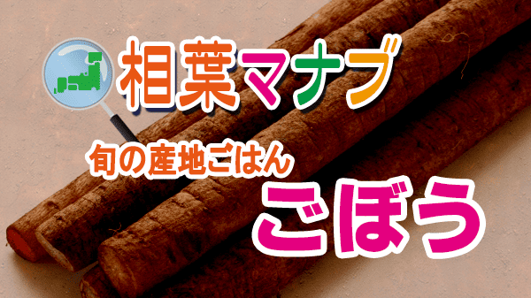 相葉マナブ 旬の産地ごはん ごぼう