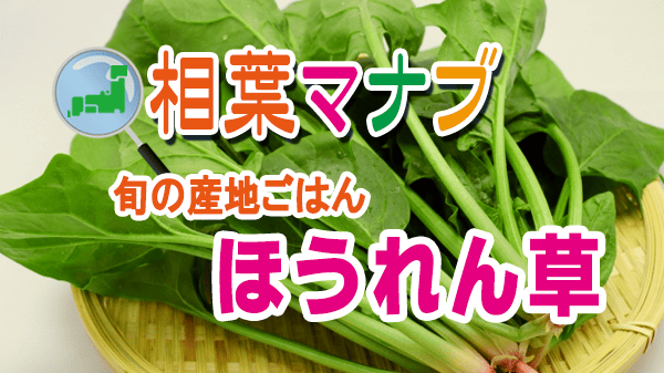 相葉マナブ 旬の産地ごはん ほうれん草