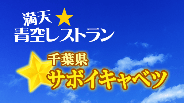青空レストラン 千葉県 サボイキャベツ