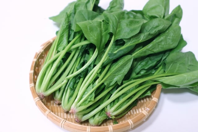 相葉マナブ 旬の産地ごはん ほうれん草