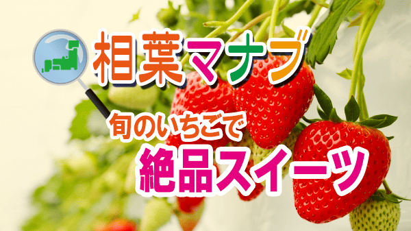相葉マナブ 旬のいちごで絶品スイーツ パティシエ 鎧塚