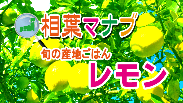 相葉マナブ 旬の産地ごはん レモン