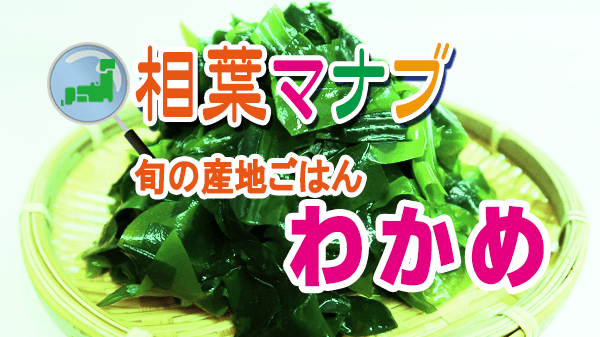 相葉マナブ 旬の産地ごはん わかめ