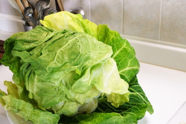 相葉マナブ 旬の産地ごはん 春キャベツ